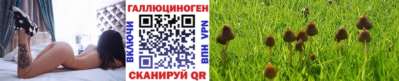 Галлюциногенные грибы мухоморы  mega сайт  Удачный  цены наркотик 